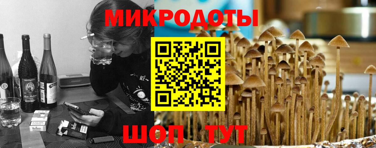 Воронеж  Галлюциногенные грибы мухоморы  Галлюциногенные грибы GOLDEN TEACHER  что такое наркотик  Вход с VPN 