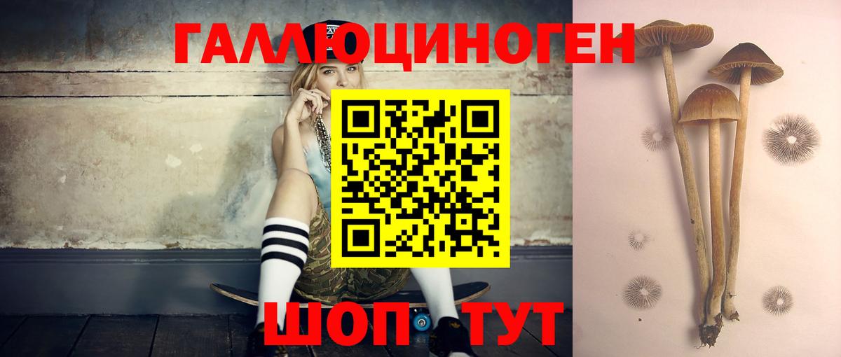 Галлюциногенные грибы Psilocybe Воронеж